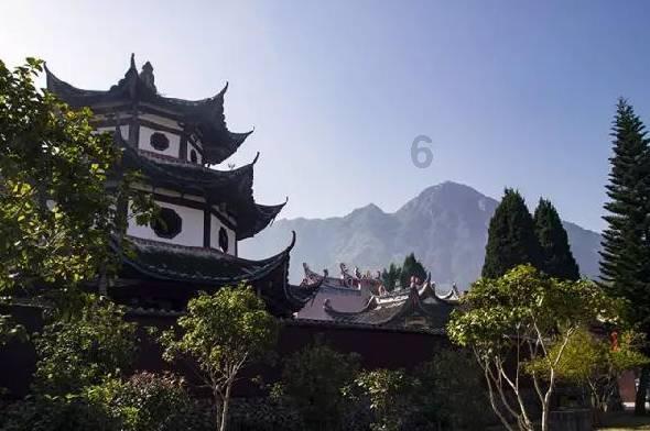 拯救穆尔小马